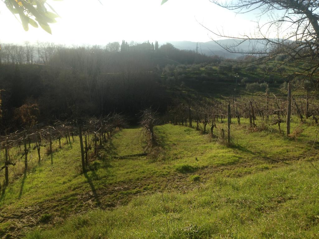 Podere San Lorenzo Terranuova Bracciolini Bagian luar foto